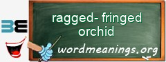 WordMeaning blackboard for ragged-fringed orchid